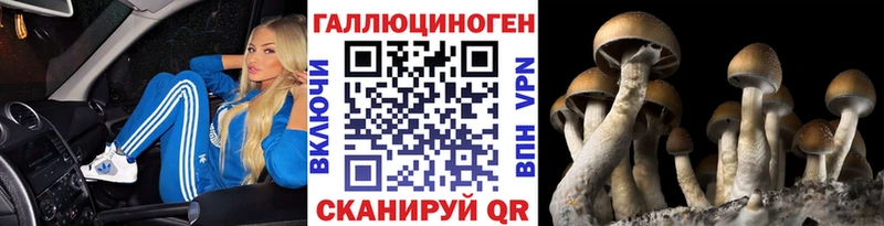 Купить  Холм  Псилоцибиновые грибы мицелий 